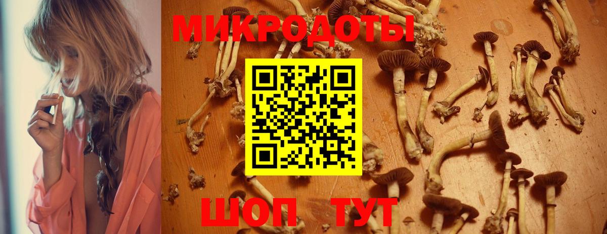 Псилоцибиновые грибы мицелий Копейск