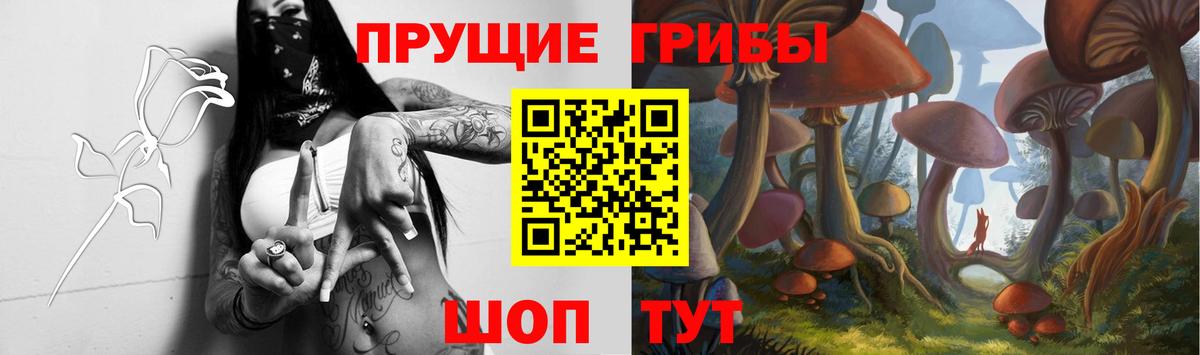 Галлюциногенные грибы Psilocybe  Псилоцибиновые грибы MAGIC MUSHROOMS  купить  цена  Копейск  Вход с VPN 